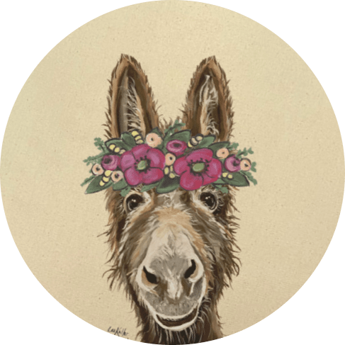 donkey-min